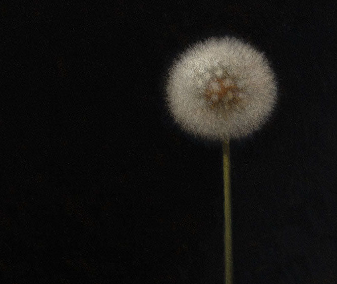 Dandelion